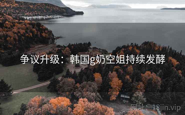 争议升级：韩国g奶空姐持续发酵  第1张