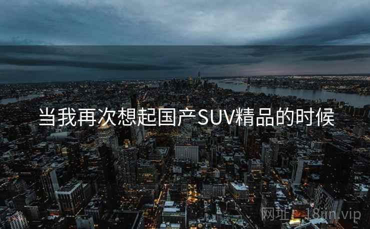 当我再次想起国产SUV精品的时候